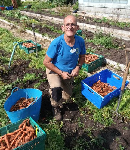 Ian Hambleton pictured harvesting over 300kg of carrots at the Cranborne Estate in Dorset