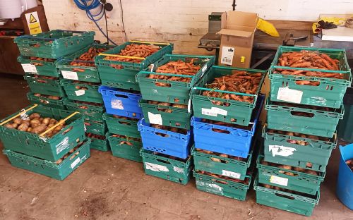 600Kg of carrots and potatoes bound for foodbanks in the south of England